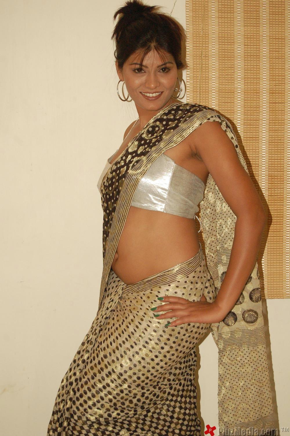 Hema Jelloju in saree Exclusive Hot Pictures | Picture 93315